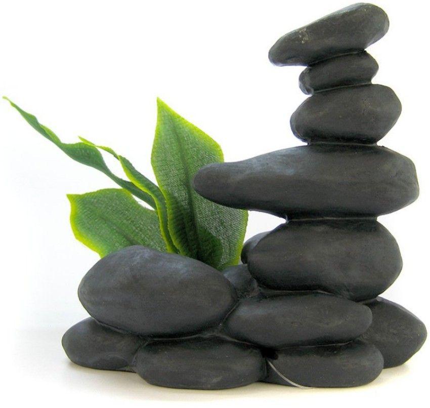 Blue Ribbon Zen Spa Stones with Plant - Black