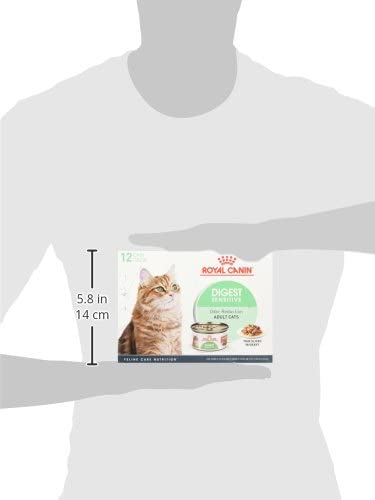 Royal Canin Feline Care Nutrition Digest Sensitive Thin Slices In Gravy Canned Cat Food, 3 oz