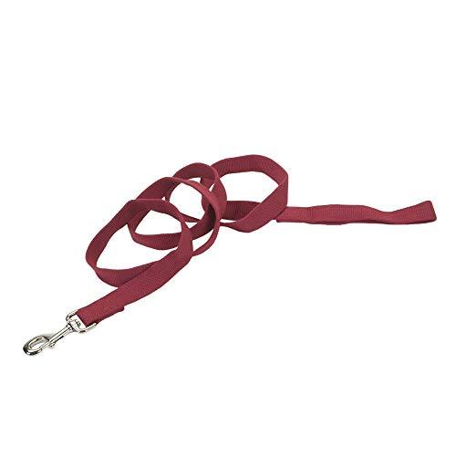 Coastal Pet Soy Lead- Cranberry 6 Ft x 5/8 Inch