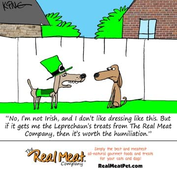 Real Meat Air-Dried Jerky Treats, Free-Range, All-Natural (Lamb, 12oz)