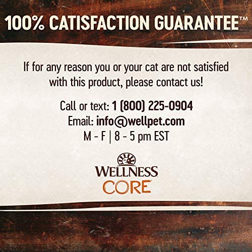Wellness CORE Tiny Tasters Wet Cat Food, Complete & Balanced Natural Pet Food, Made with Real Meat, 1.75-Ounce Pouch, 12 Pack (Flaked, Minced in Gravy & Pate)