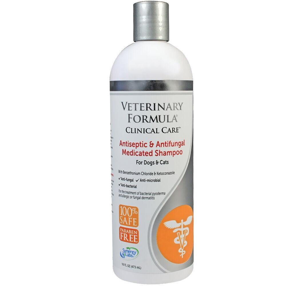 Antiseptic and Antifungal Shampoo for Dogs and Cats
