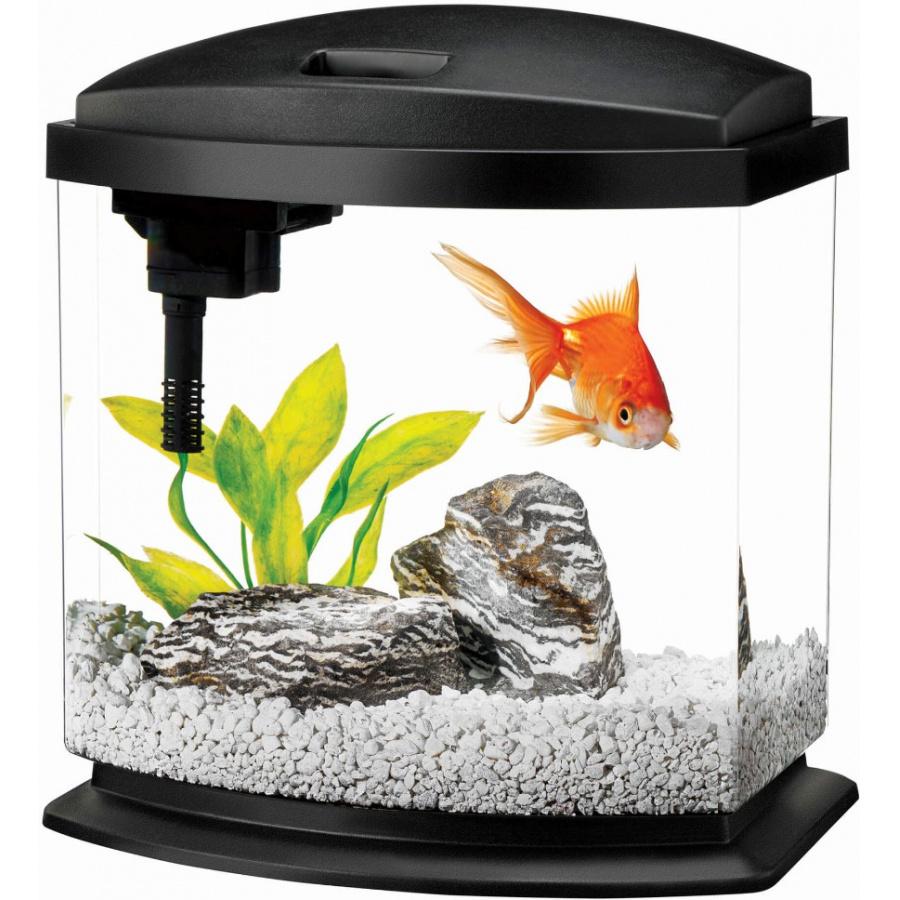 Aqueon LED Mini Bow Desktop Aquarium Kit - Black