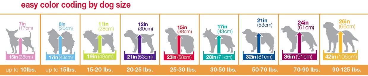 2-Door Training Retreat Wire Kennel