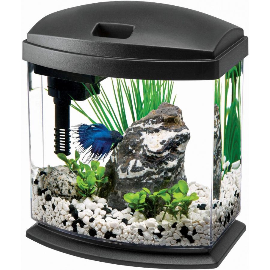 Aqueon LED Mini Bow Desktop Aquarium Kit - Black