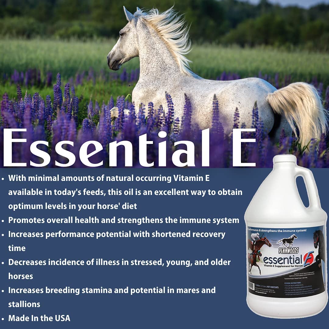 Pennwoods Equine Products Essential E - 1 Gallon | Horse Vitamin | Vitamin E | Horse Supplement | Overall Health | Increased Performance | Reduced Recovery Time | Horse Nutrition | Breeding |