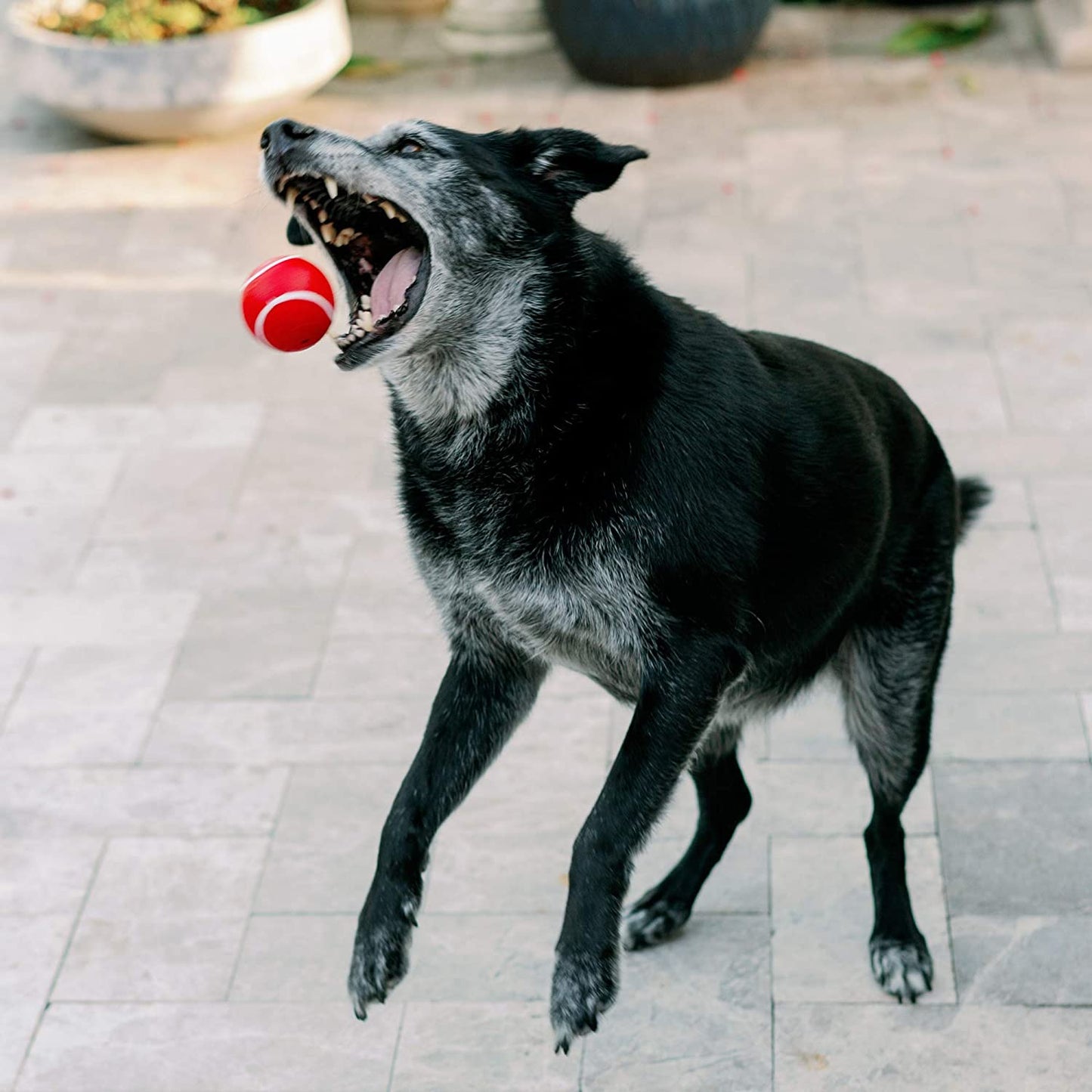 Playology Squeaky Chew Ball Dog Toy Beef Scent, Small, Red