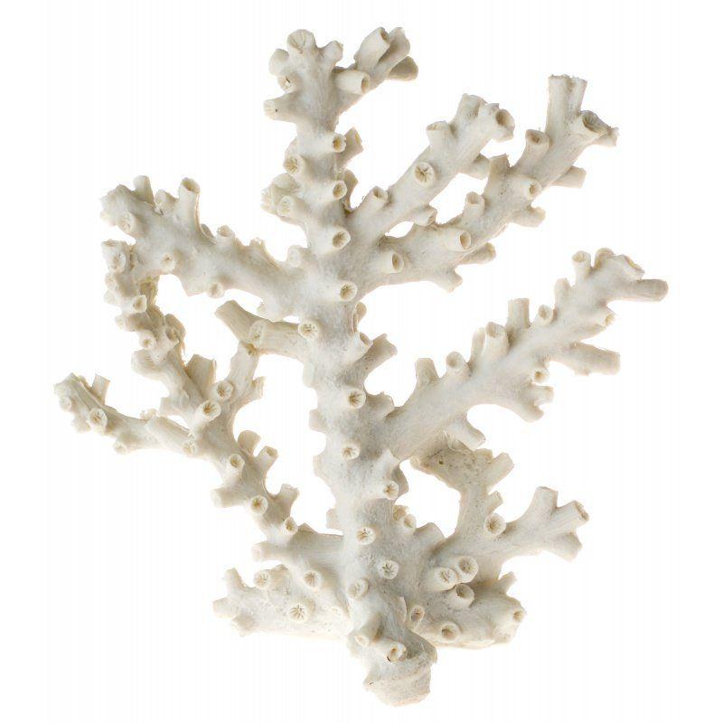 Exotic Environments Octopus Coral Ornament - White