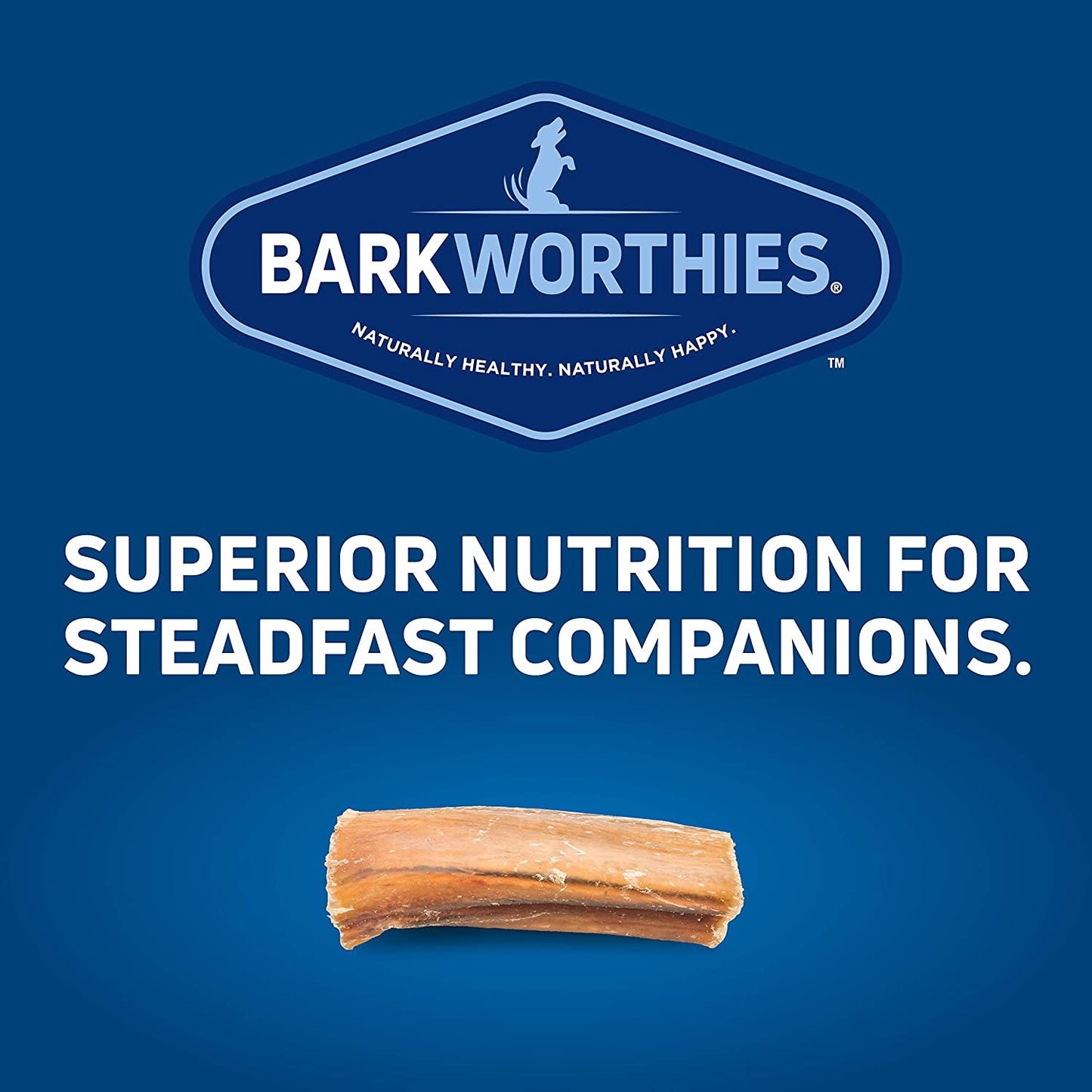 Barkworthies Protein-Rich Bully Stick Bites (10oz. Bag) - All-Natural Rawhide Alternative - Highly Digestible Dog Treat - Promotes Dental Health