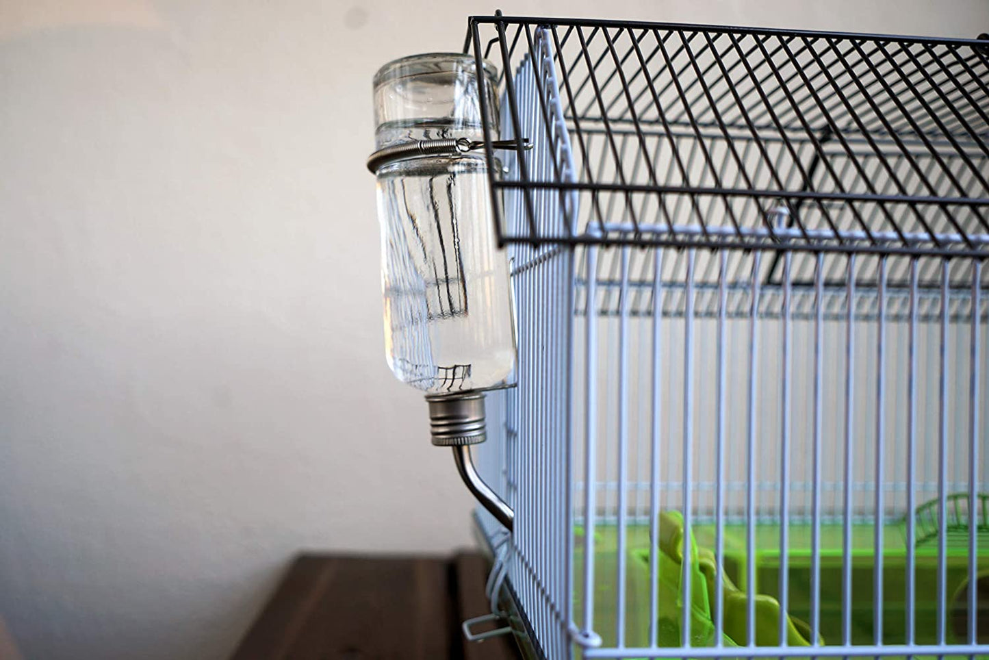 Oxbow Enriched Life Chew Proof Glass Water Bottle, 8oz / 237ml