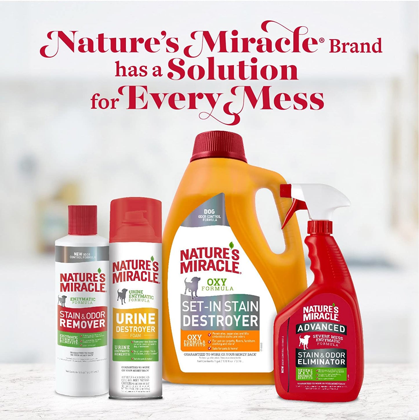 Nature's Miracle Dog Stain and Odor Remover, Safe for Your Pets & Home