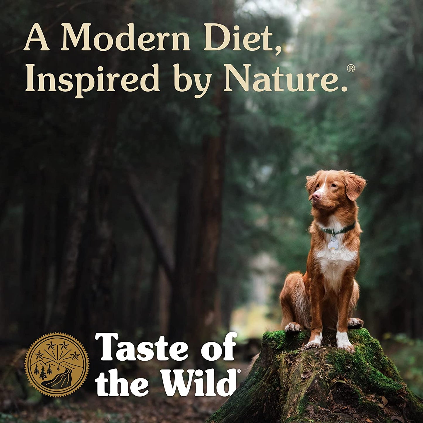 Taste of the Wild Southwest Canyon Grain-Free Recipe with Beef in Gravy Wet Canned Dog Food, Made with with High Protein from Real Meat and Guaranteed Nutrients Like Vitamins and Antioxidants
