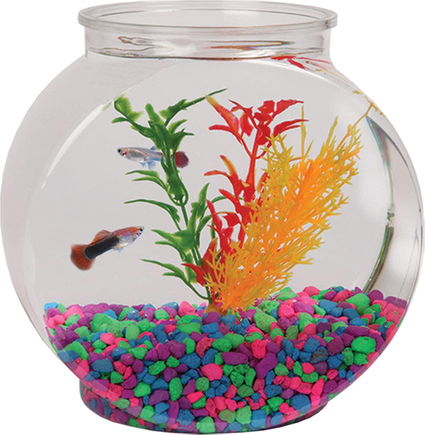 Koller Products 1/2-Gallon Fish Bowl Drum, 6.3" L x 4.2" W x 6.3" H, Clear