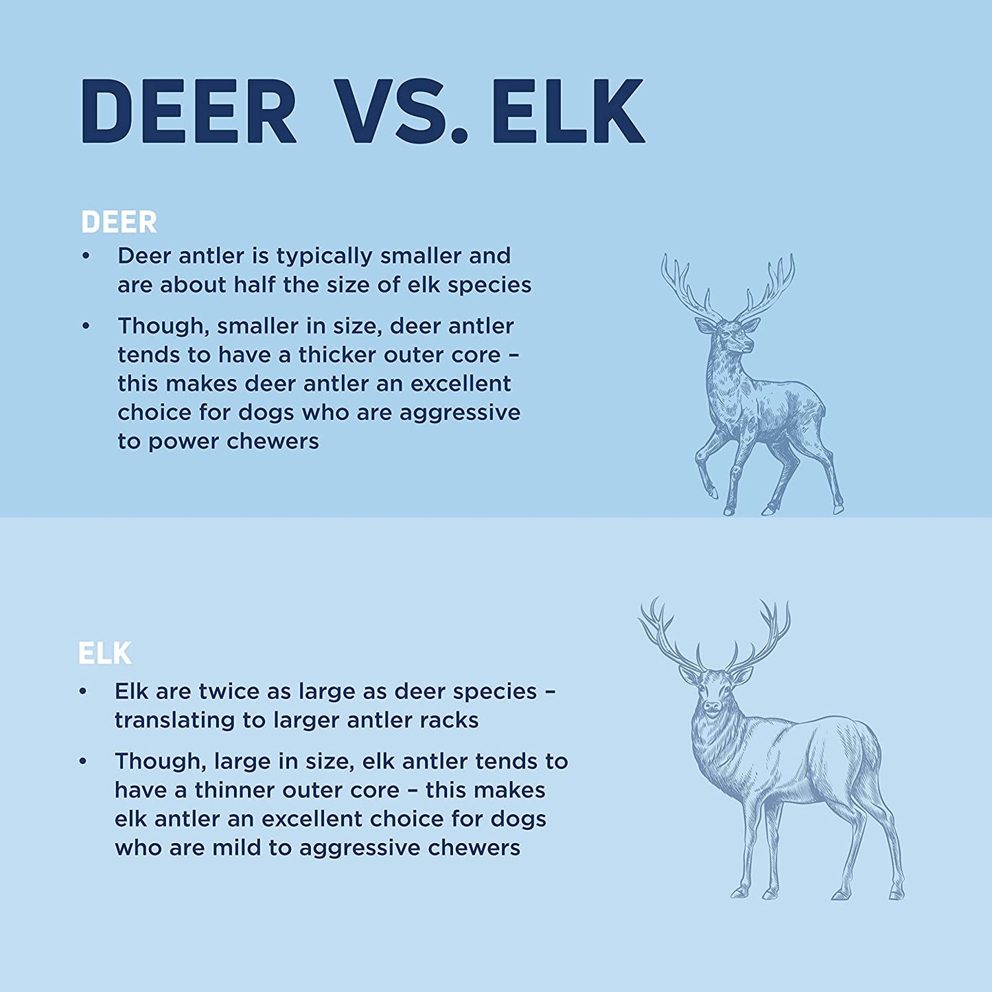 Barkworthies Hand Selected Naturally Shed Extra Large Whole Elk Antler (Single Antler) - Long Lasting, Odor Free Dog Chew for XL Breed Dogs - No Chemical Treatments, No Added Preservatives