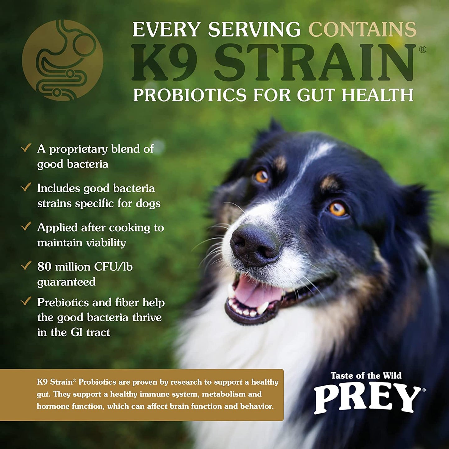 Taste of the Wild PREY High Protein Limited Ingredient Premium Dry Dog Food with Antioxidants and Probiotics for All Life Stages