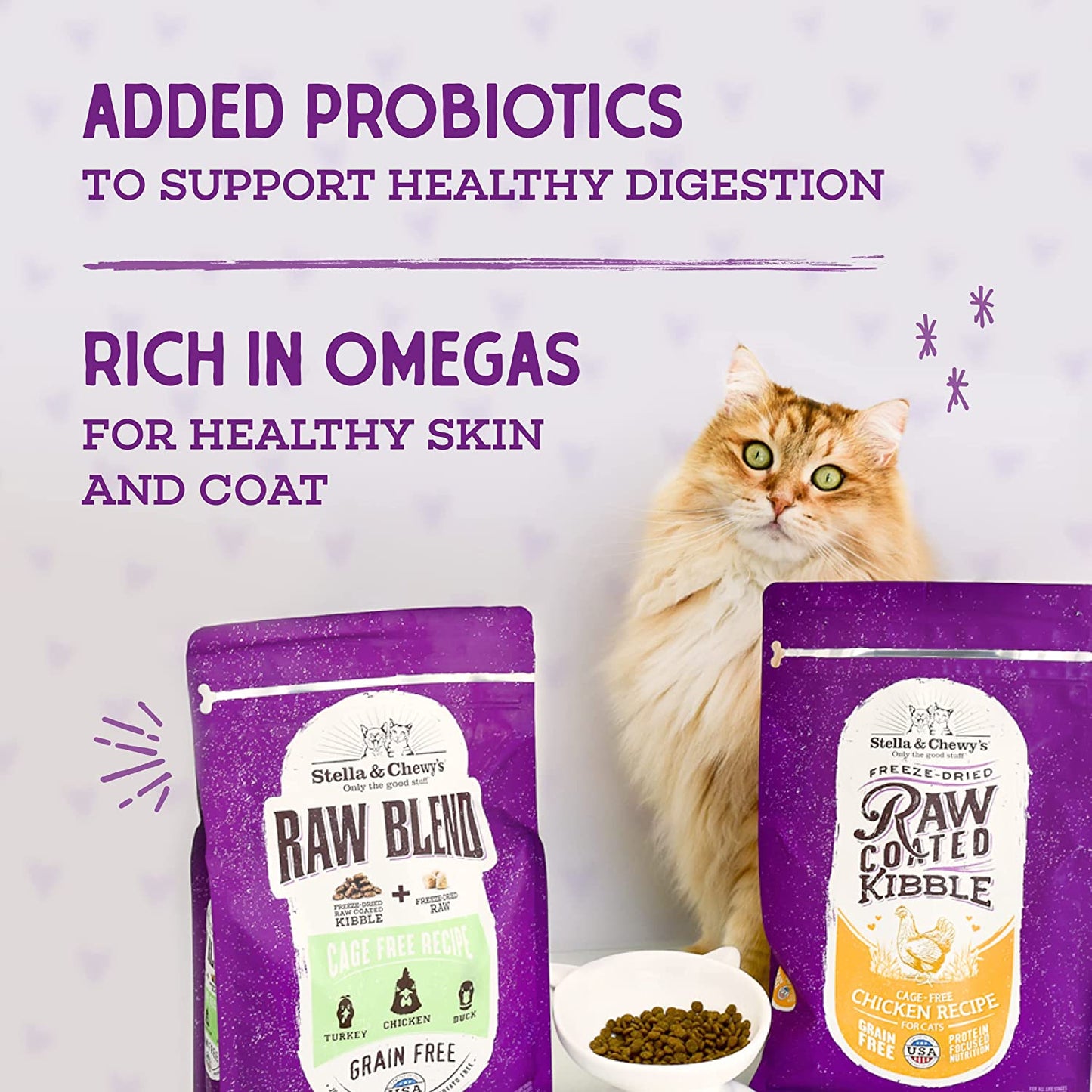 Stella & Chewy’s Raw Coated Premium Kibble Cat Food – Grain Free, Protein Rich Meals, Dry Food for Cats & Kittens