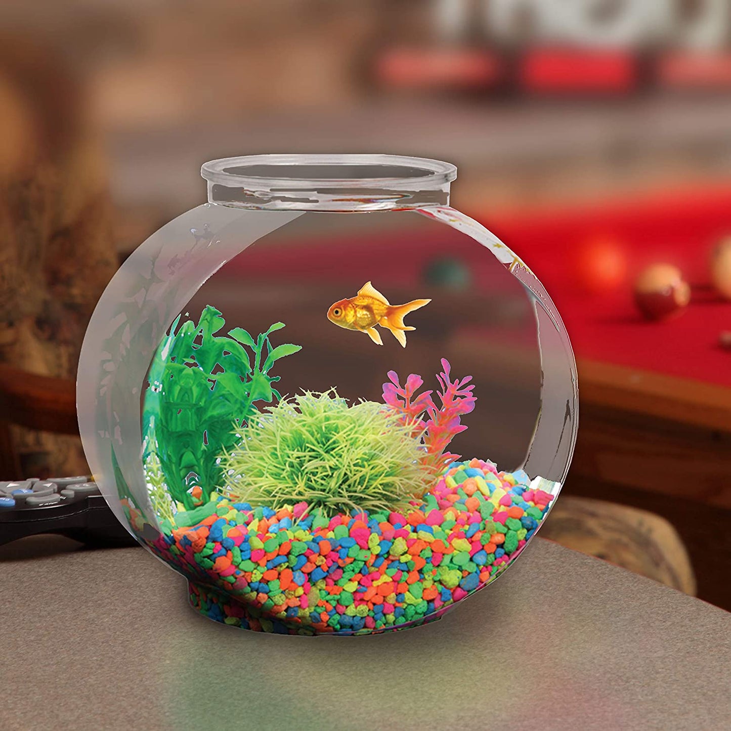 Koller Products 1/2-Gallon Fish Bowl Drum, 6.3" L x 4.2" W x 6.3" H, Clear