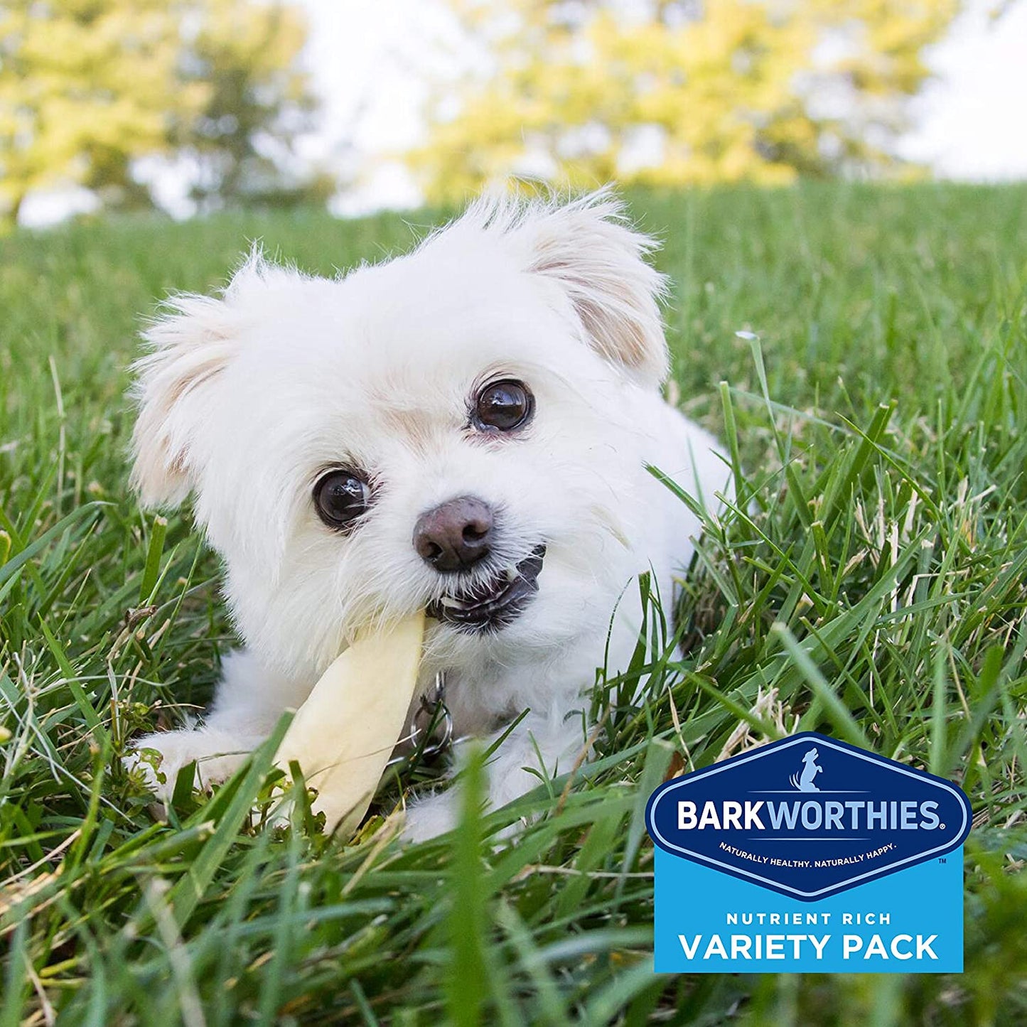 Barkworthies Healthy Dog Treats & Chews Variety Pack - Protein-Rich, All-Natural, Highly Digestible, Rawhide Alternative - Promotes Dental Health - Great Gift for All Dogs