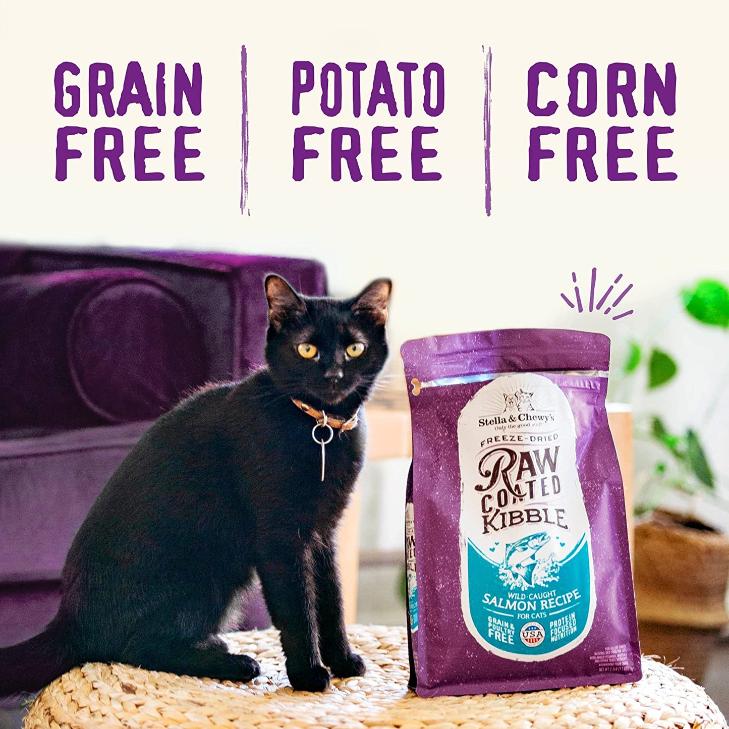 Stella & Chewy’s Raw Coated Premium Kibble Cat Food – Grain Free, Protein Rich Meals, Dry Food for Cats & Kittens