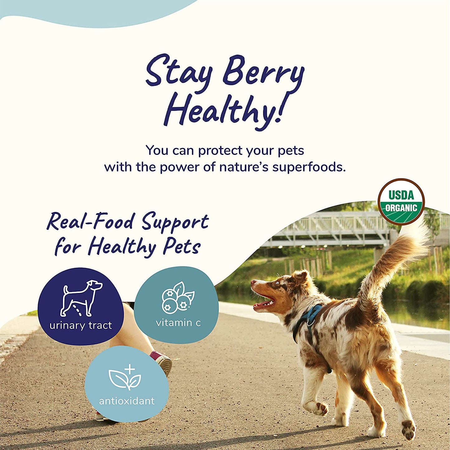kin+kind Dog Supplement Powder - Cranberry Supplement for Dogs and Cats for Healthy Immunity - Cat & Dog Bladder Support - Natural Formula with Organic Cranberry, Blueberry and Coconut - Made in USA