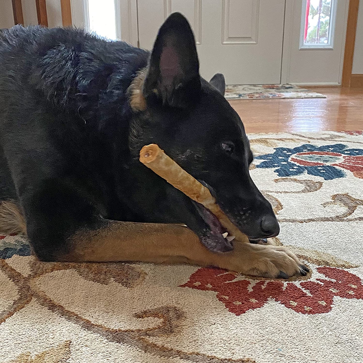 Nothing to Hide Natural Rawhide Alternative Large 10'' Rolls for Dogs - 3 Pack (6 Chews) Premium Grade Easily Digestible Chews - Great for Dental Health by Fieldcrest Farms