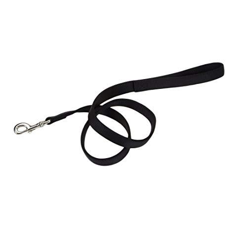 Coastal Pet Double-Ply Nylon Dog Leash, Black Color | 1\" Wide by 6-Feet Long |1-Unit