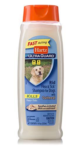 Hartz UltraGuard Plus Flea & Tick Shampoo for Dogs with Soothing Aloe - Shampoo, Dog
