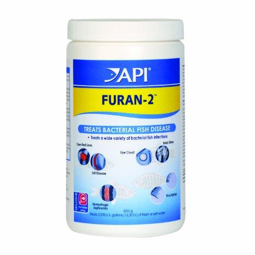 API Aquarium Fish Medication