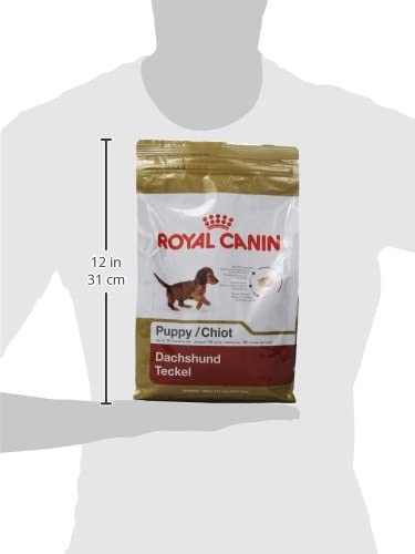 Royal Canin Breed Health Nutrition Dachshund Puppy Dry Dog Food, 2.5 lb