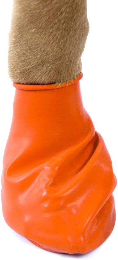 PawZ Dog Boots | Rubber Dog Booties | Waterproof Snow Boots for Dogs | Paw Protection for Dogs | 12 Dog Shoes per Pack (Colored)