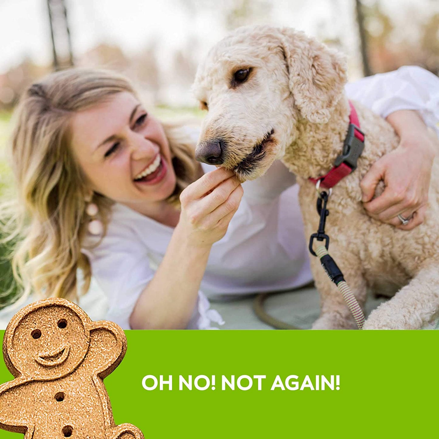 Buddy Biscuits Oven Baked Teeny Treats, Whole Grain Treats for Small or Toy Breed Dogs, Roasted Chicken - 8 oz. Pack of 6