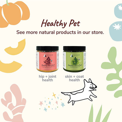 kin+kind Organic Fiber for Dogs & Cats - Pumpkin Boost for Healthy Poops - Stomach and Bowel Support - Digestive Health - Natural Formula with Flax Seed, Ginger, Turmeric and Coconut - Made in USA