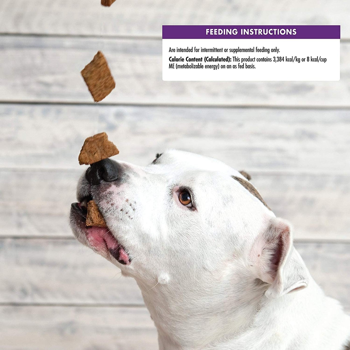 Wellness Natural Wellbites Soft Dog Treats