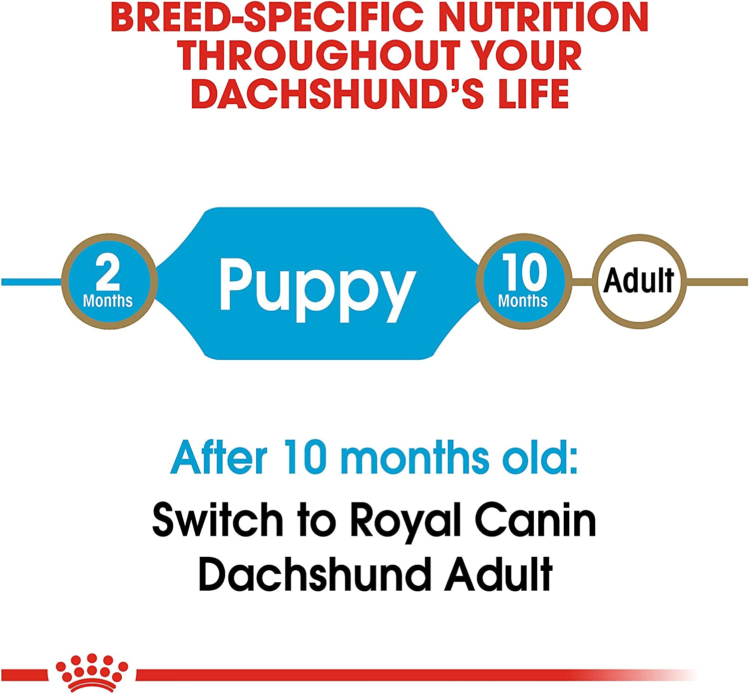 Royal Canin Breed Health Nutrition Dachshund Puppy Dry Dog Food, 2.5 lb