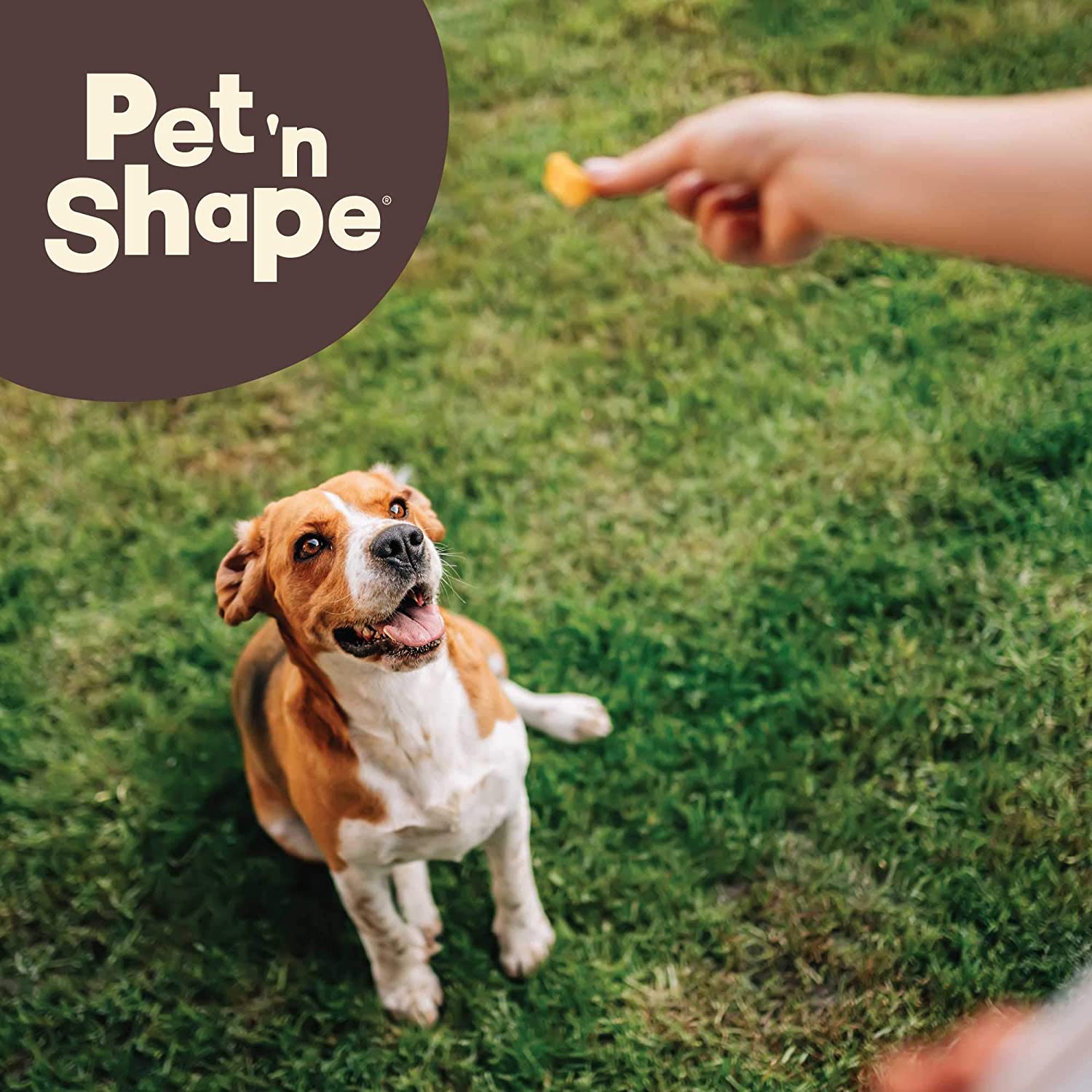 Pet 'n Shape - Made in USA - All Natural Duck Feet Dog Treats