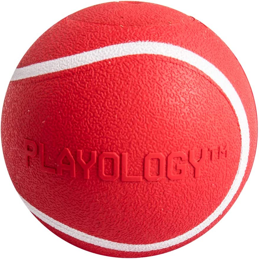 Playology Squeaky Chew Ball Dog Toy Beef Scent, Small, Red
