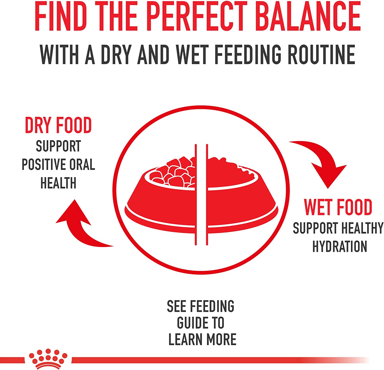 Royal Canin Feline Health Nutrition Adult Instinctive Thin Slices in Gravy Canned Cat Food, 3 oz can