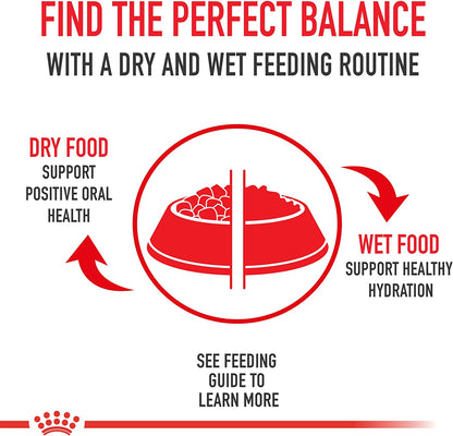 Royal Canin Canine Health Nutrition Puppy Wet Dog Food