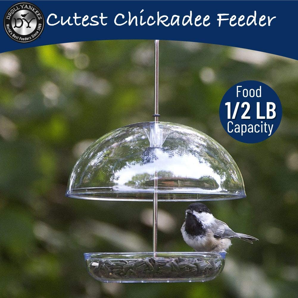 Droll Yankees CUTE Chickadee Feeder Small Multi-purpose Bird Feed, 6-Inch Dome