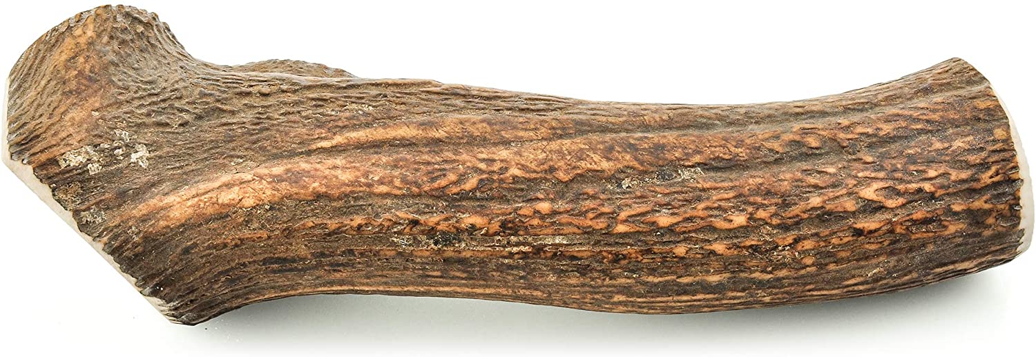 Barkworthies Hand Selected Naturally Shed Extra Large Whole Elk Antler (Single Antler) - Long Lasting, Odor Free Dog Chew for XL Breed Dogs - No Chemical Treatments, No Added Preservatives