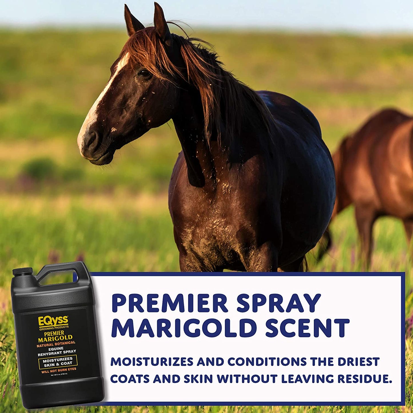 Eqyss Premier Equine Spray Marigold Scent - Moisturizes Skin and Coat