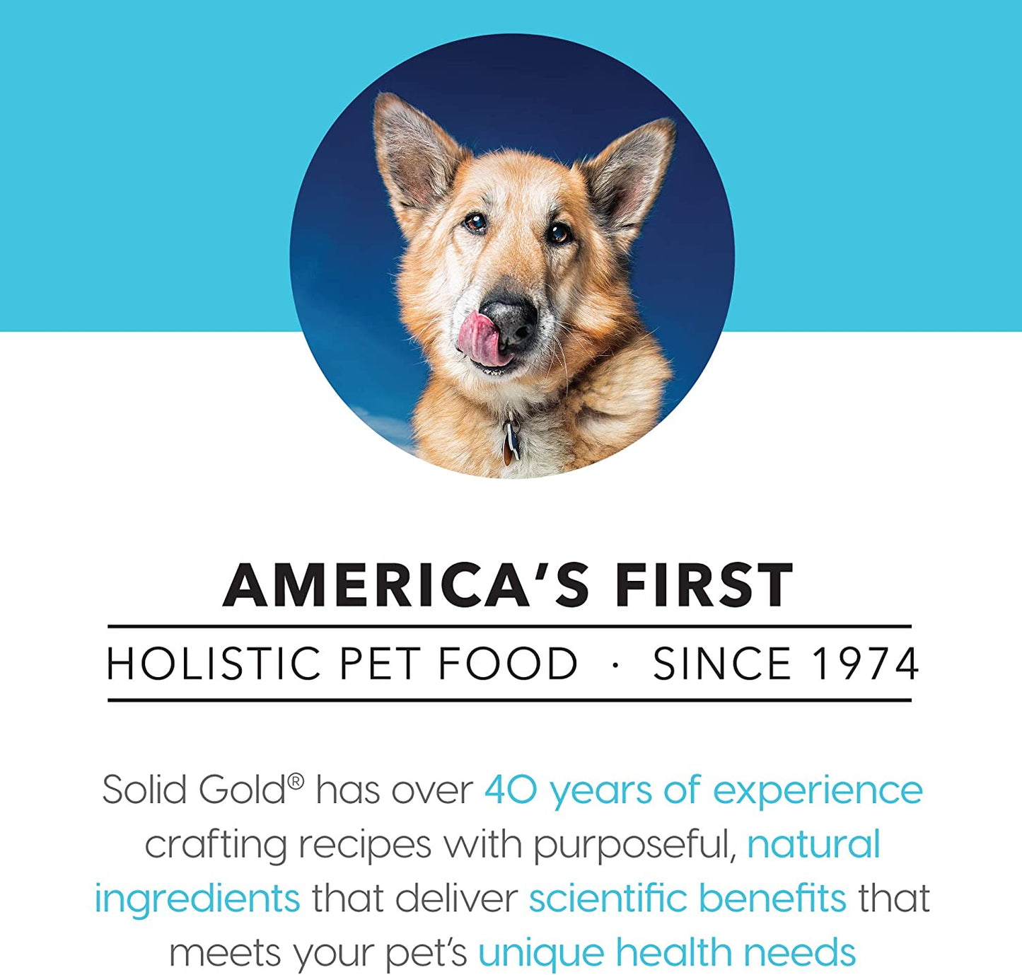 Solid Gold Love at First Bark - Chicken or Beef with Sweet Potatoes, Apple & Gravy - Grain Free Wet Puppy Food