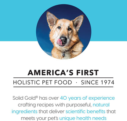 Solid Gold Love at First Bark - Chicken or Beef with Sweet Potatoes, Apple & Gravy - Grain Free Wet Puppy Food