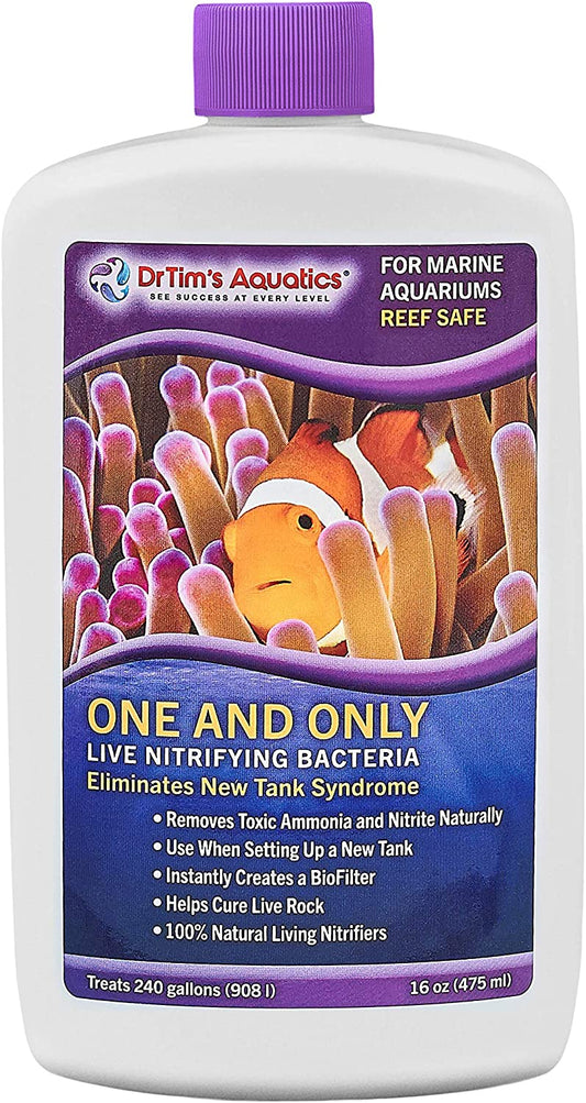 DrTim’s Aquatics Reef Safe One & Only Live Nitrifying Bacteria  – Eliminate New Tank Syndrome for New Fish Tanks, Aquariums, & Water Filtering & Treatment - Treats 240 gal - 16oz