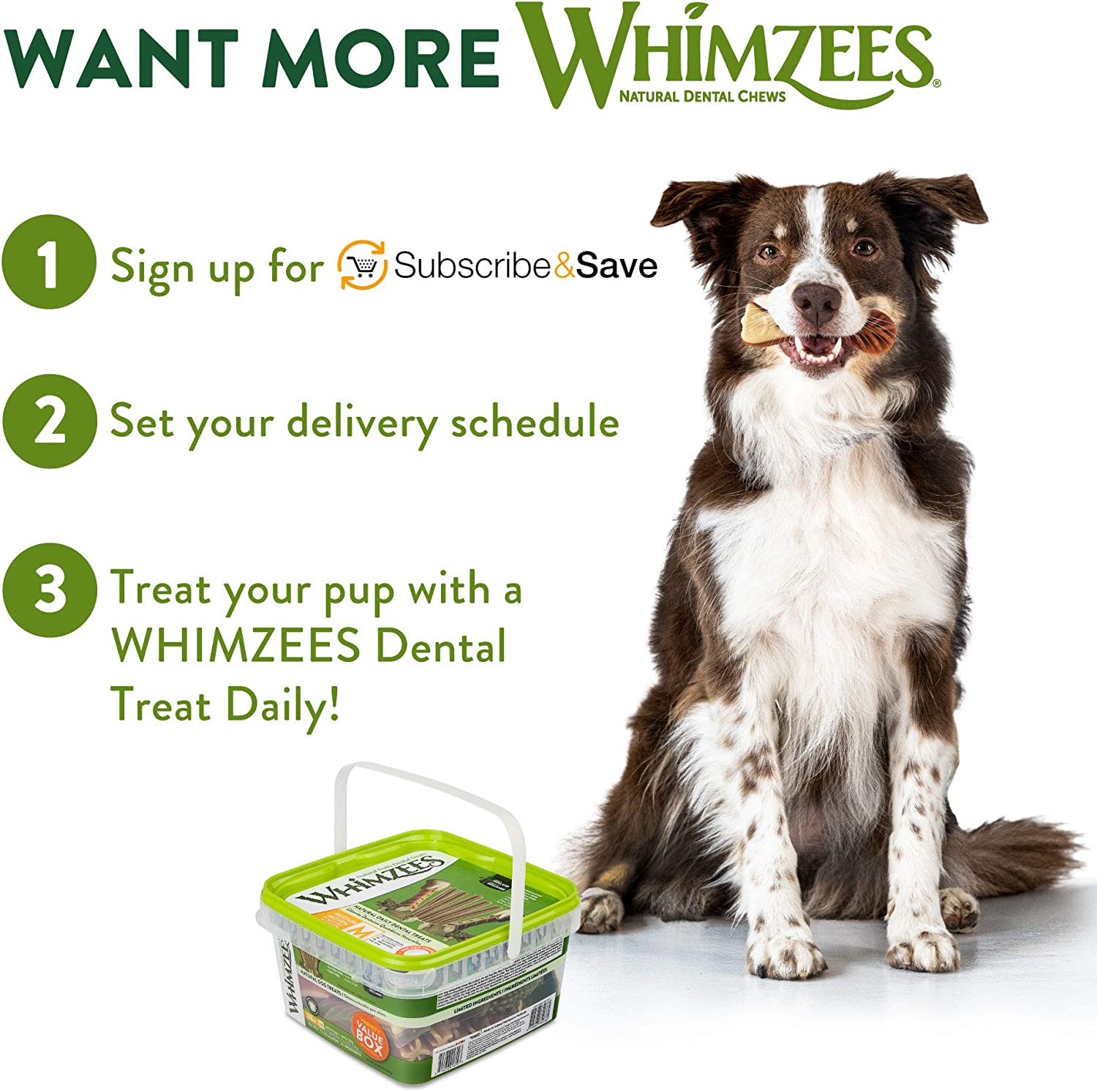 Whimzees Natural Grain-Free Dog Dental Chews, Daily Oral Care Treats, Long Lasting, Freshens Breath, Reduces Tartar & Plaque, for Medium Dogs (25-40 lbs)