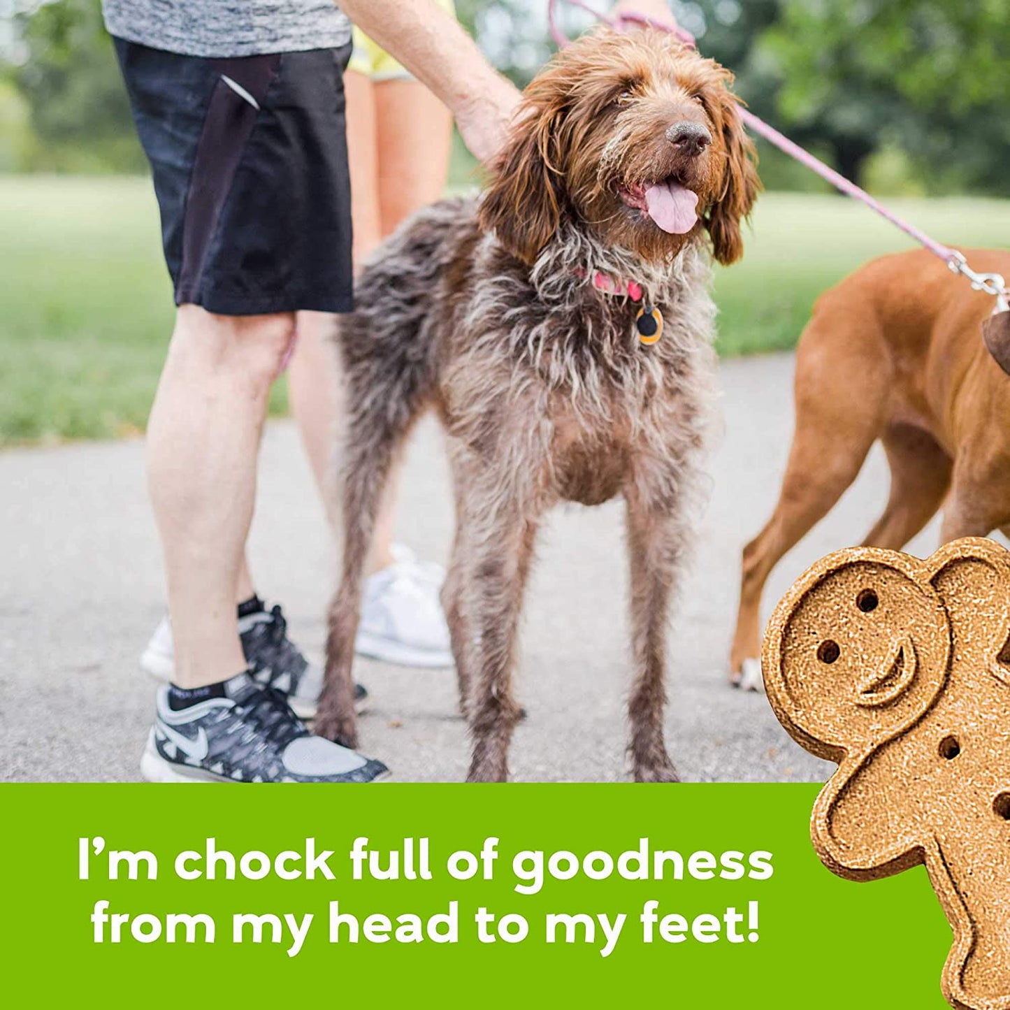 Buddy Biscuits Oven Baked Teeny Treats, Whole Grain Treats for Small or Toy Breed Dogs, Roasted Chicken - 8 oz. Pack of 6