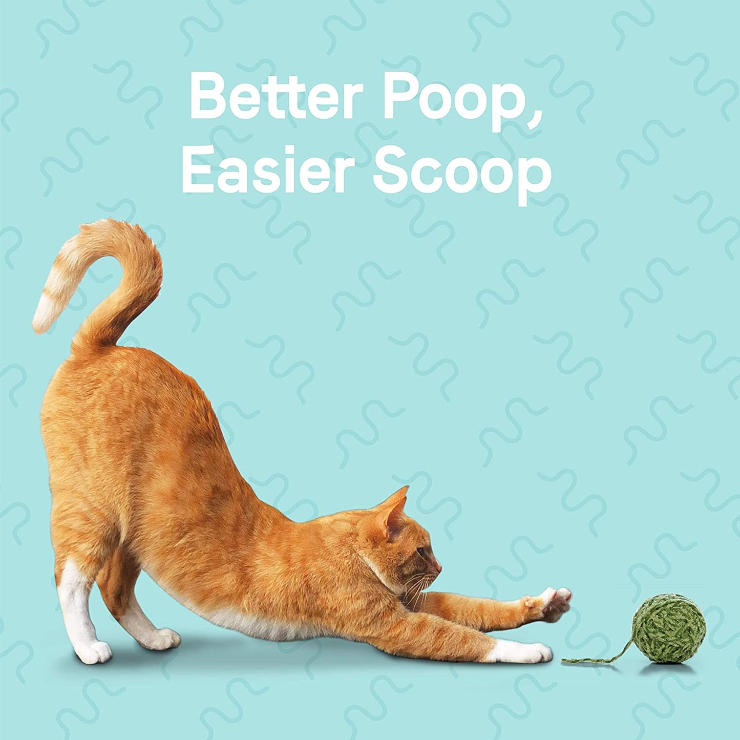 Canidae Goodness Premium Dry Cat Food, Focused Nutrition for Healthy Cats
