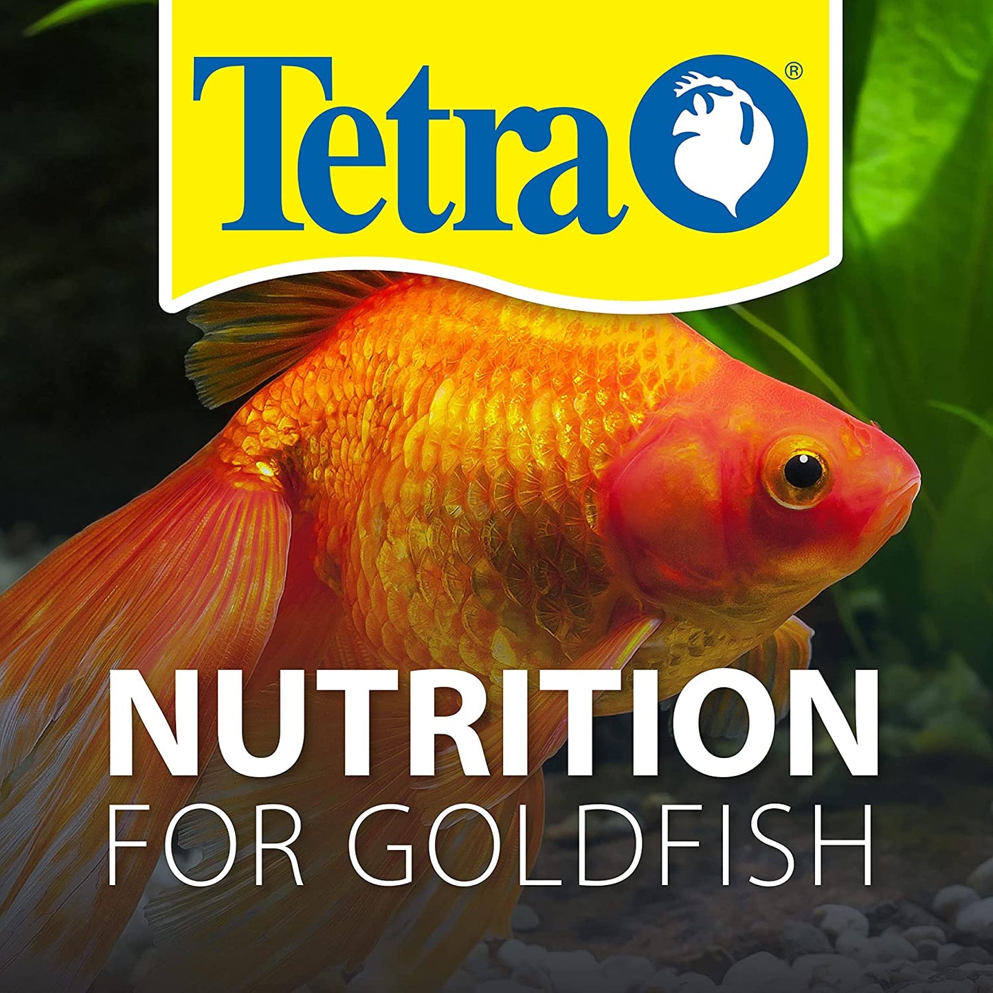 Tetra Goldfish Flakes - Balanced Diet Fish Food