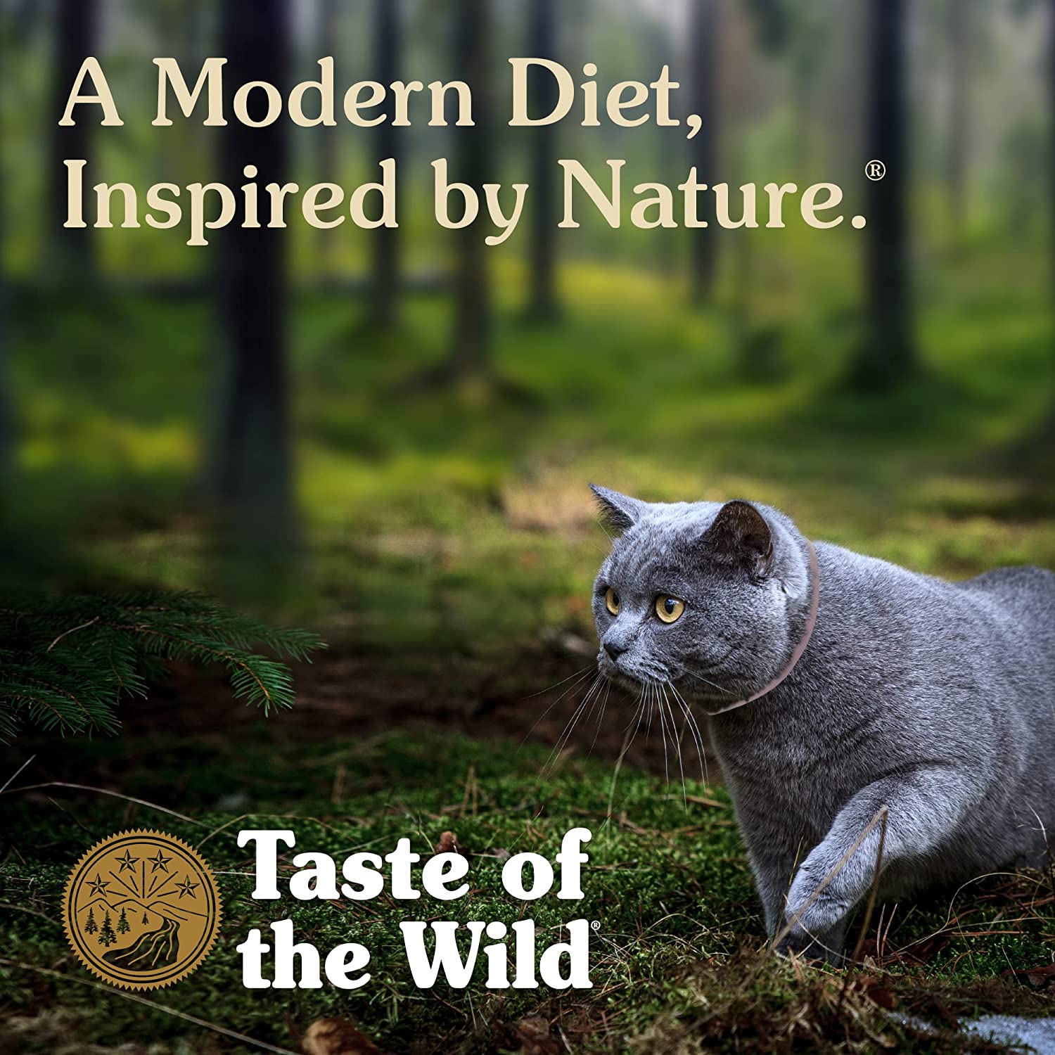 Taste Of The Wild Canyon River Grain-Free Dry Cat Food