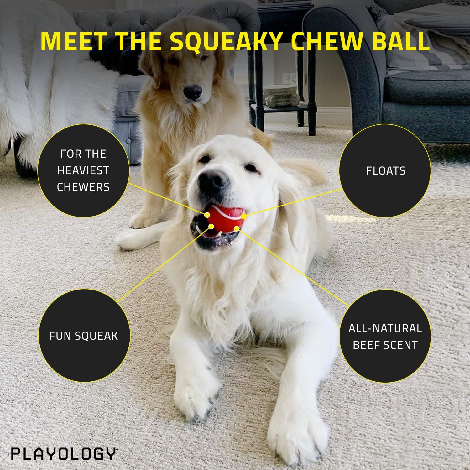 Playology Squeaky Chew Ball Dog Toy, for Extra Large Dogs (50lbs and Up) - for Heaviest Chewers - Engaging All-Natural Scented Toy - Non-Toxic Materials